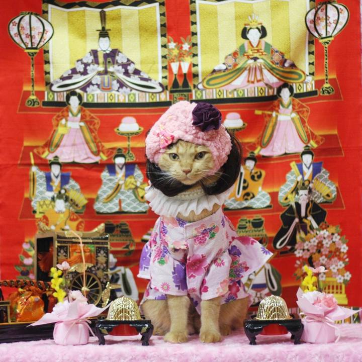 A582d8bd 1432 4826 be2c aeabab61cf71 1677673577176