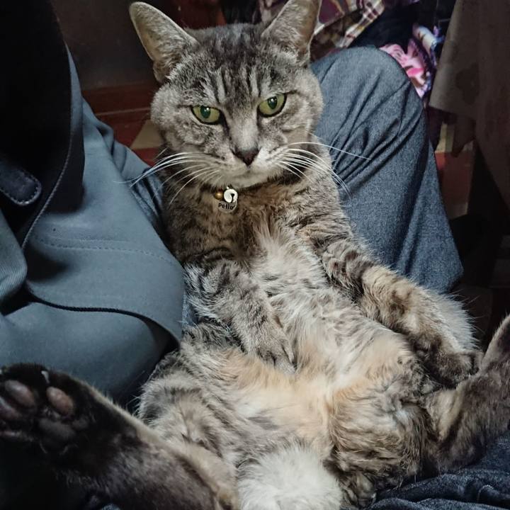 A582e2ef 7511 4646 be19 2fc22cf6c512 1574286841950