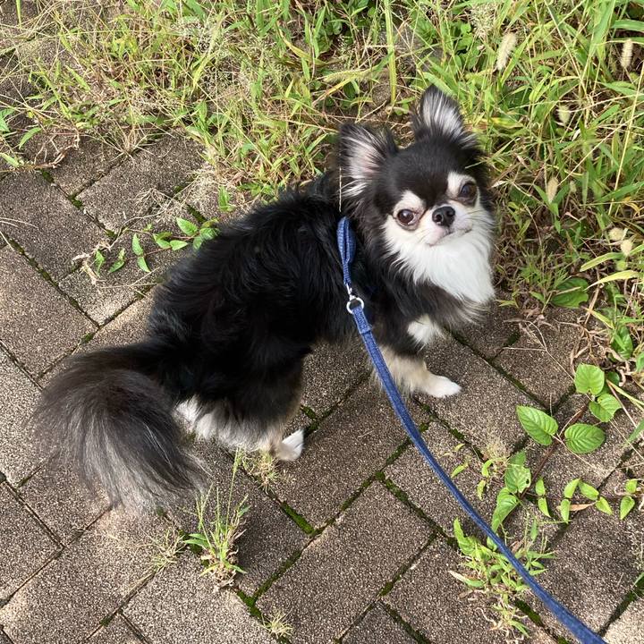 A582fb2e baa2 4ed5 a56e 889e1204ce10 1663854027597