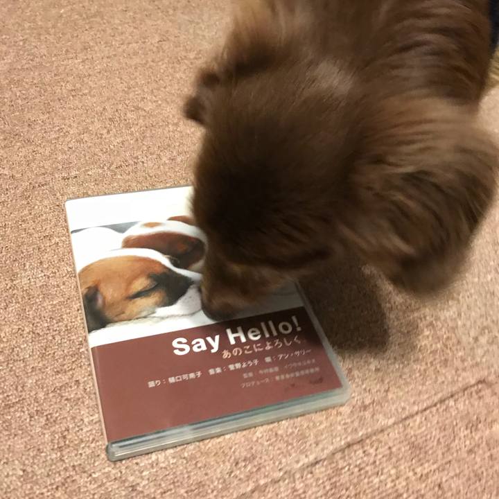 A58300f5 833d 48ca 9e3d 9e3f8625dec0 1521665720391