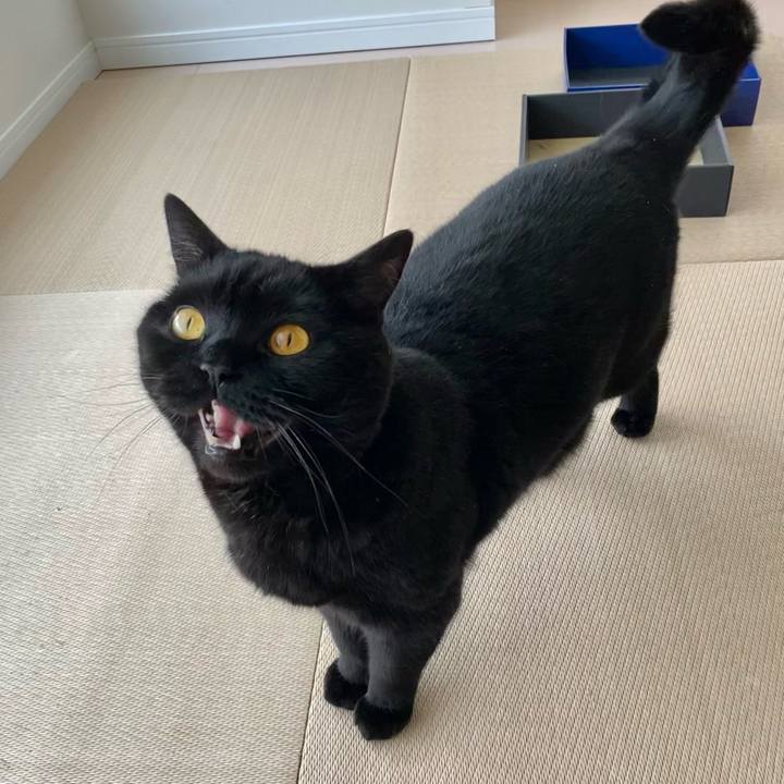 A58304ee 0fc3 42b4 9016 ef931c2904f3 1650838918291