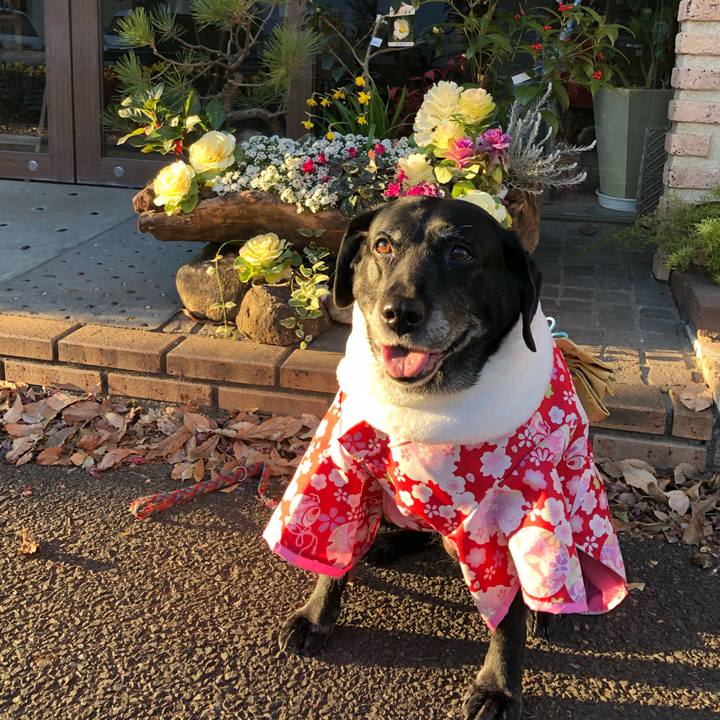 A58321b5 defd 4b02 9804 2bbd8f00cc3c 1609575855437