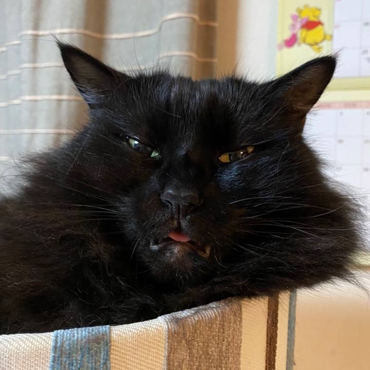 A583a78c 3bb3 4452 b21b a1753eeaa6bb 1574073307469