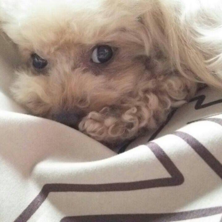 A583b16d eb89 4742 9f7c 882ece9c4b8c 1543063250464