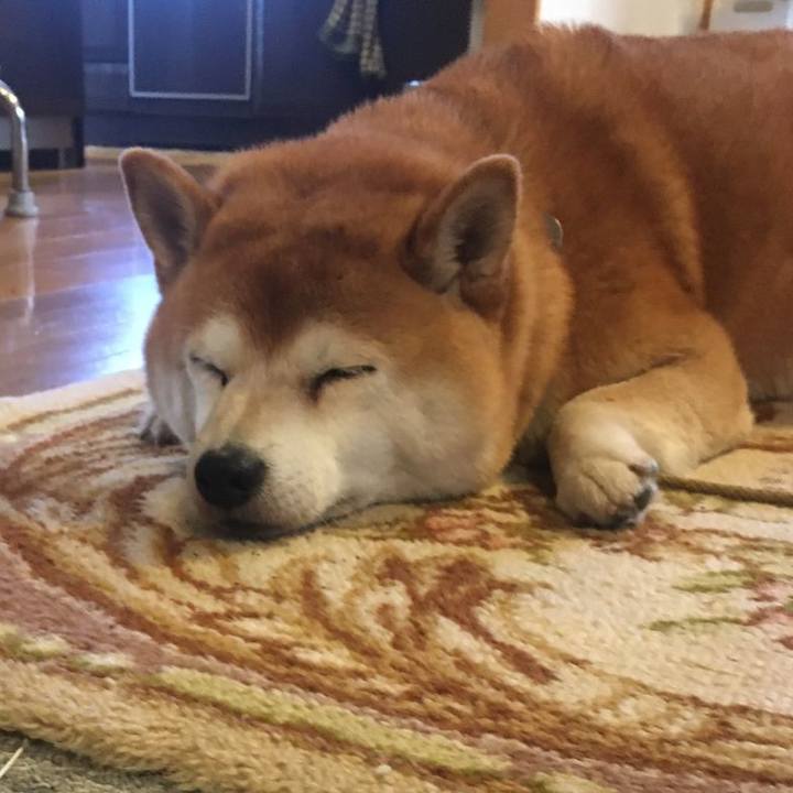 A583d44d f9e6 4a91 b978 a31bcec89092 1573992034051