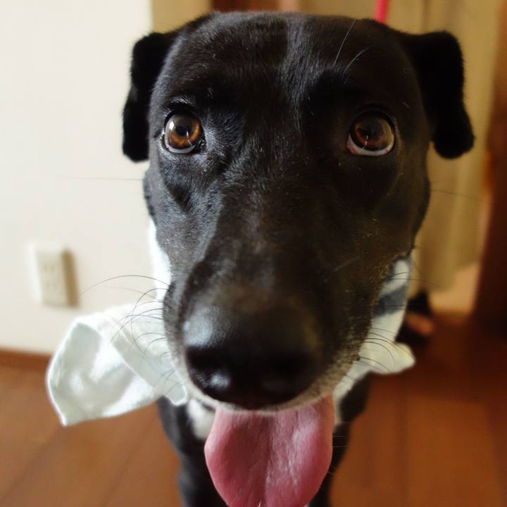 A583dcd2 c770 4d67 9636 247e3894e5a7 1624022872953