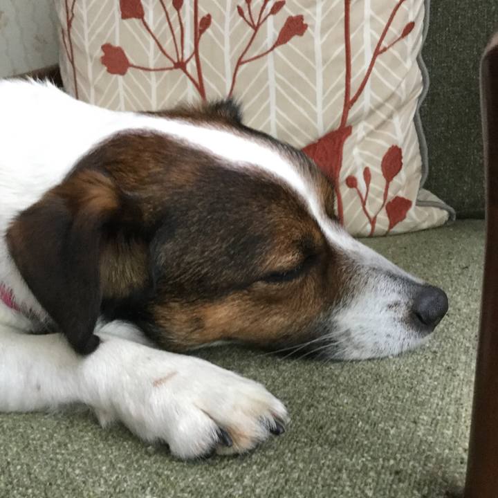 A583e0ed 4aba 4ea1 aac5 8ca4b3918f72 1524619528028