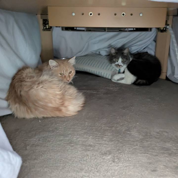 A583fe48 75c9 44d4 9520 847b226315b7 1772675479094