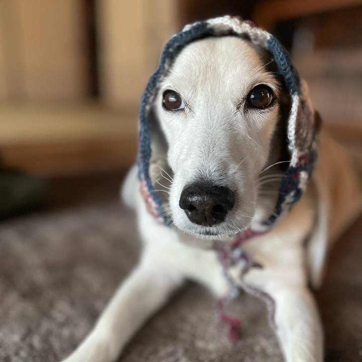 A5840953 995c 40d5 8d13 511509808c18 1765347021431