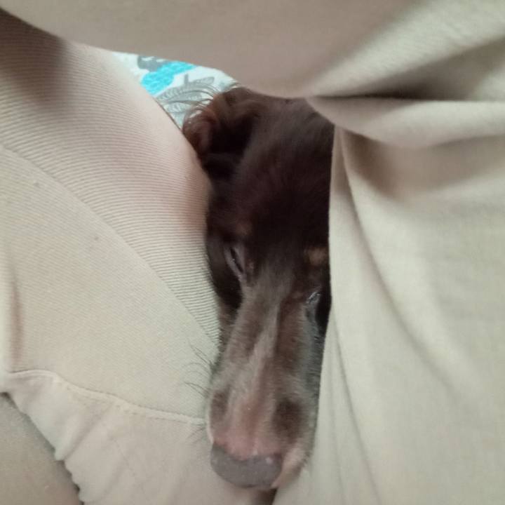 A5841cee 2a75 4e90 8e8b 148b09f7ce83 1758750620870