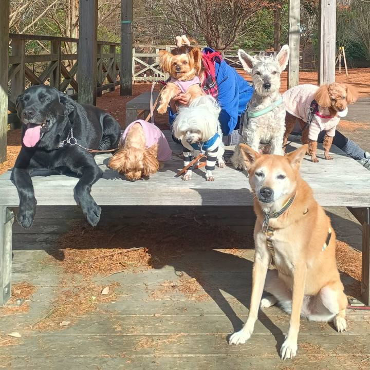 A5845a17 aff6 4a40 806d 7591ac1255ad 1765288377899