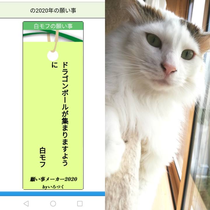 A58473c5 7e12 46ae a0f6 daf277df7fe8 1594110610958