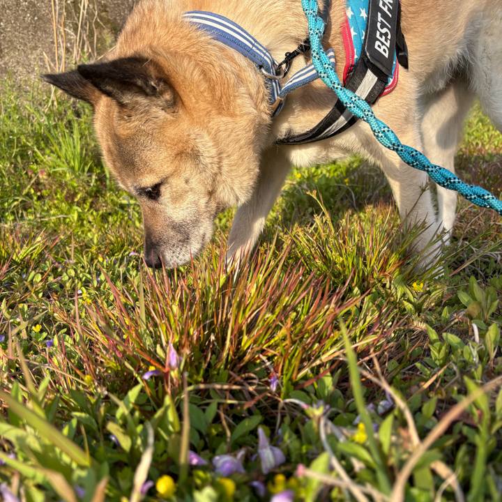 A584c698 1d71 4b8e b20e 12b7be2f52f4 1744894916924