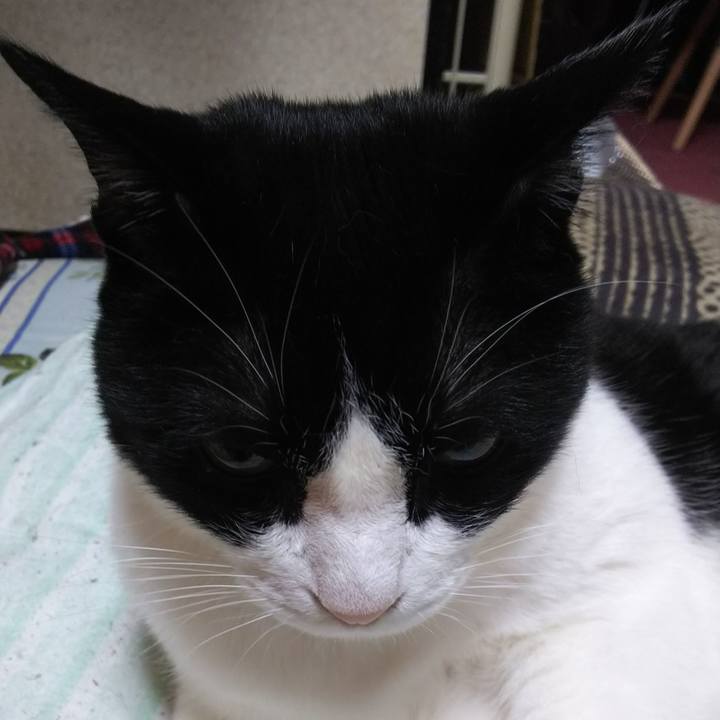 A585020f 3921 4094 aae9 4c8108435d05 1556936763175