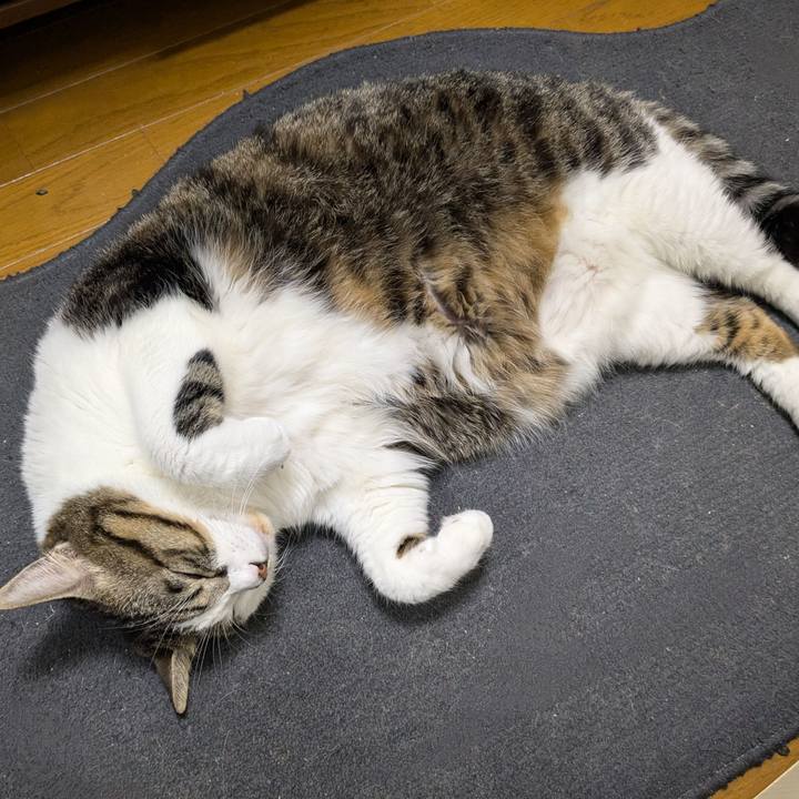 A5851600 60ba 4148 a573 5d07180d0d28 1732965115855