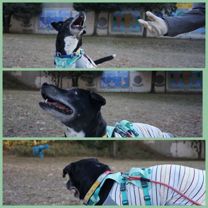 A58519bc 4f44 40b4 b2e5 d9f46a0a231d 1769821203721