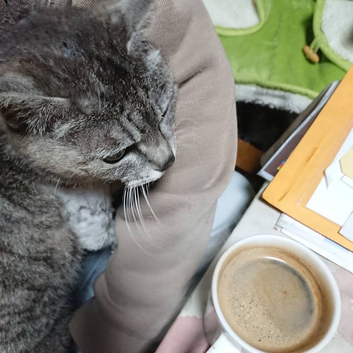 A585265e fa40 4d1c a3d7 25b9259c3a1d 1589399227441