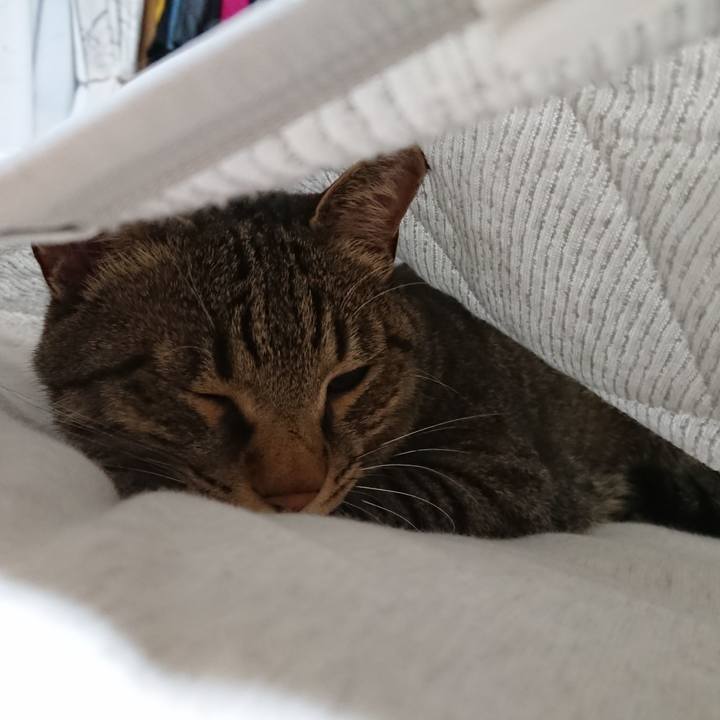 A5852d13 7151 4e6f 8688 2b46409d7245 1563810814154