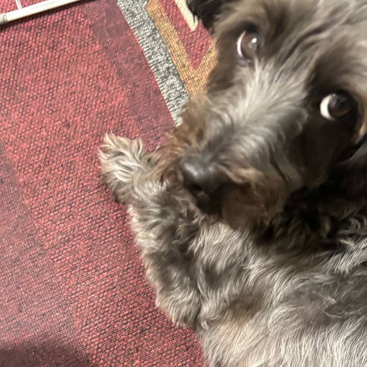 A5855d7f c247 4c7e 8c83 7015616456a4 1759151320522