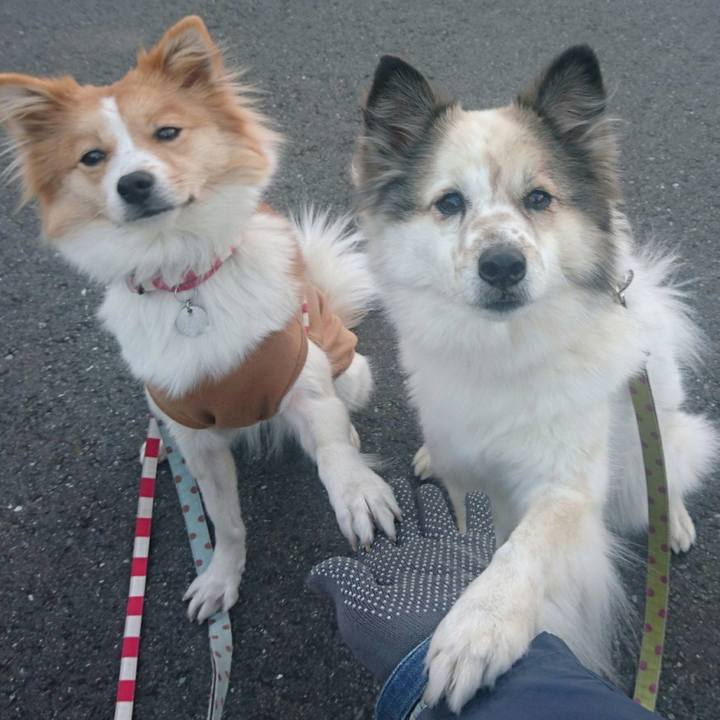 A5859069 2a4d 4c65 b483 c974b91062ff 1581253535710