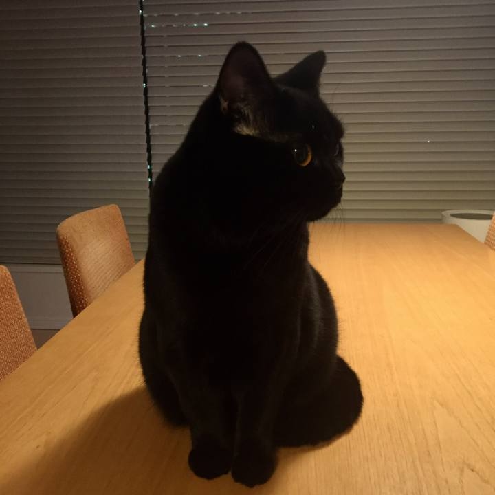 A58591ee 98e0 4124 8094 02a4f2030815 1514464253842