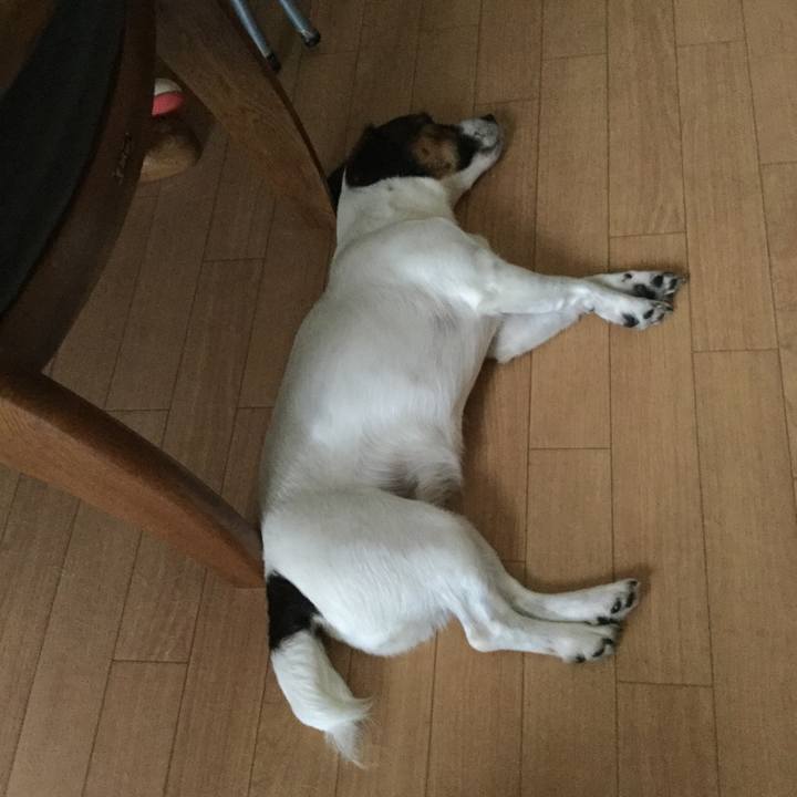 A585c7ac c4f4 40e1 b935 a6db49948d11 1532149359647