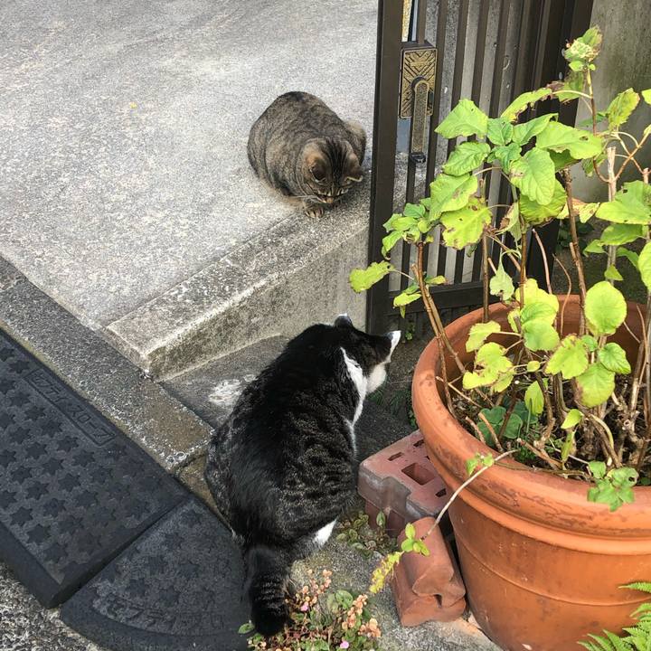 A585e472 5375 4940 a8b4 0d2f8f38e041 1572168285227