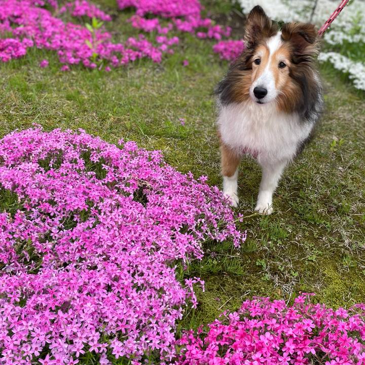 A58622e4 9d8f 4d28 ae26 993fe531199e 1627297689269