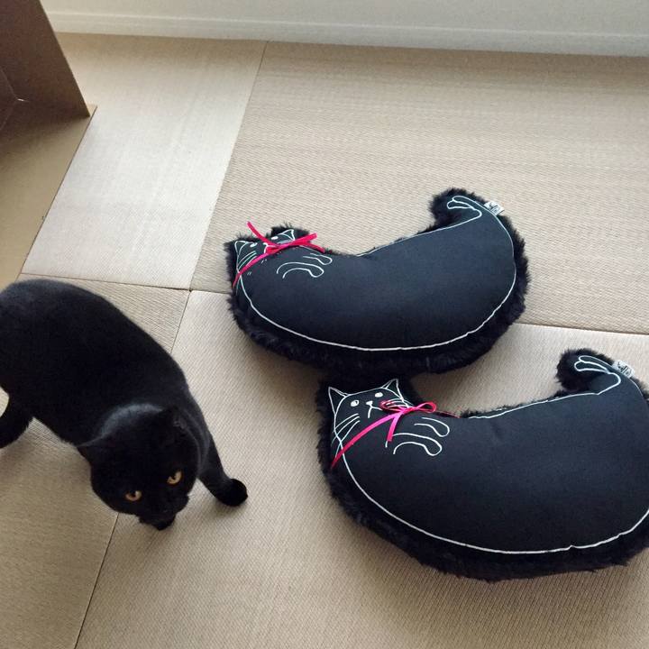 A586397f b2cc 4ab2 b677 9ae688b90ca5 1541662924404