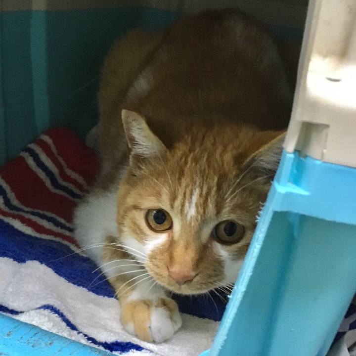 A58697f7 8f73 479a b257 e71823ec74f0 1523954431436