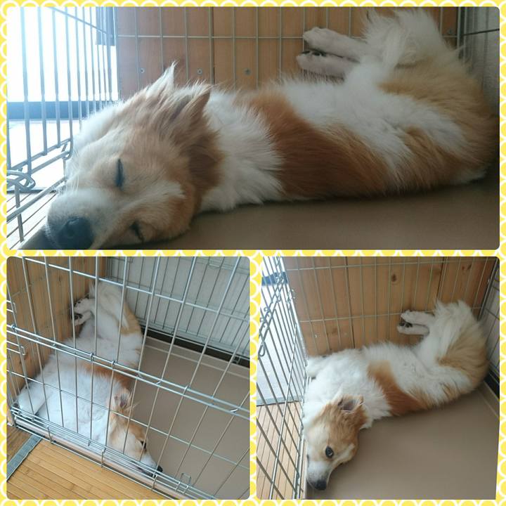 A586e901 bbe3 4770 a0e0 3fed6e258f9c 1528287049453