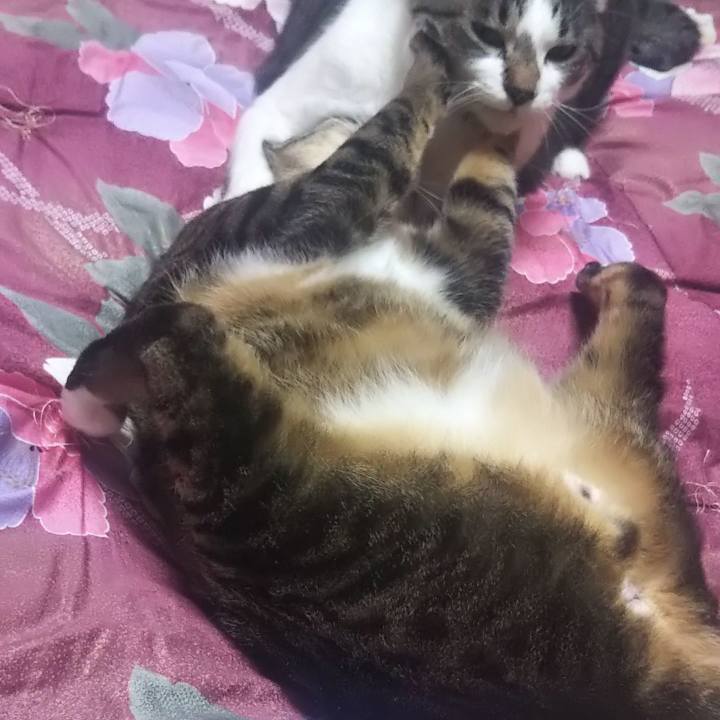 A58703ef d6e8 48c9 a507 2d9b6ff4ac73 1611661955415