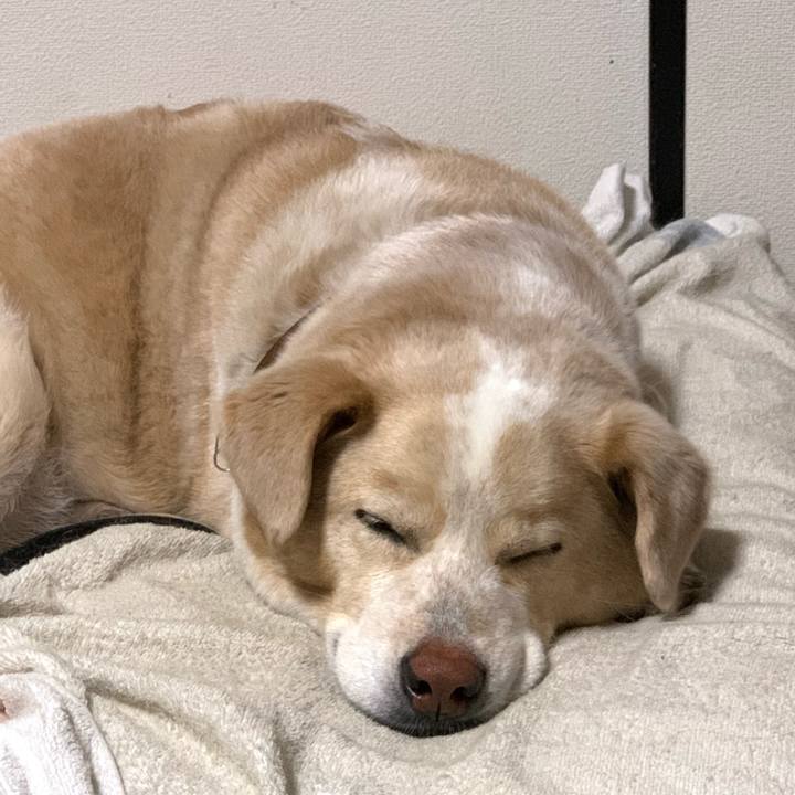 A5870462 0988 4d40 aad3 99d8d5b9b6f5 1590417347538