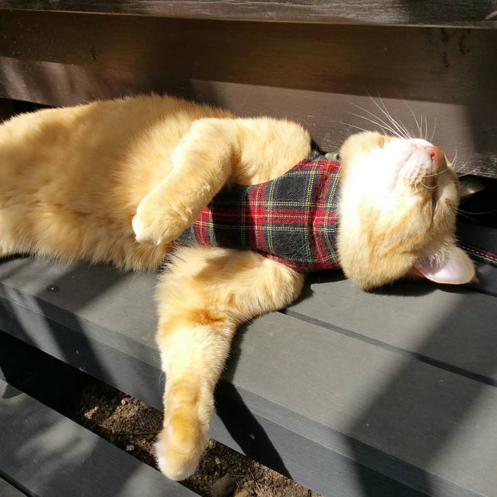 A587079d 4cd8 4d9d 8d45 262b93806086 1523849493019