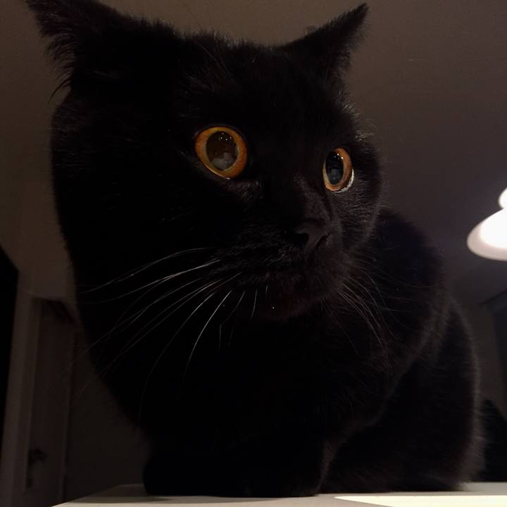 A5870db4 fcdf 4dcb 947d 6952c29066cf 1551268697576