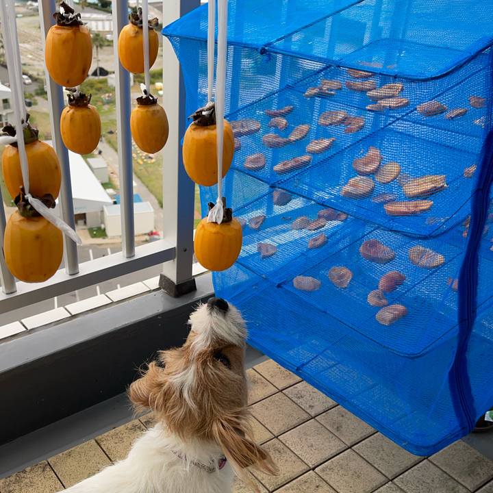 A5871739 a46f 425f ad09 768736b57062 1761732646321