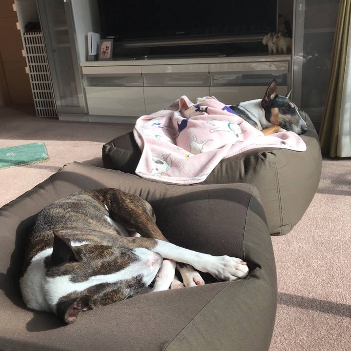 A5871fc1 59fc 4c92 a289 7d8a67f914a9 1513566046993