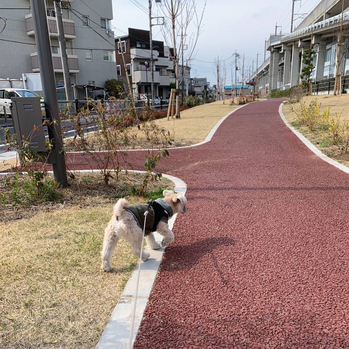 A5872ea1 7bc0 4603 b96c 4d8a68048de3 1552806851262