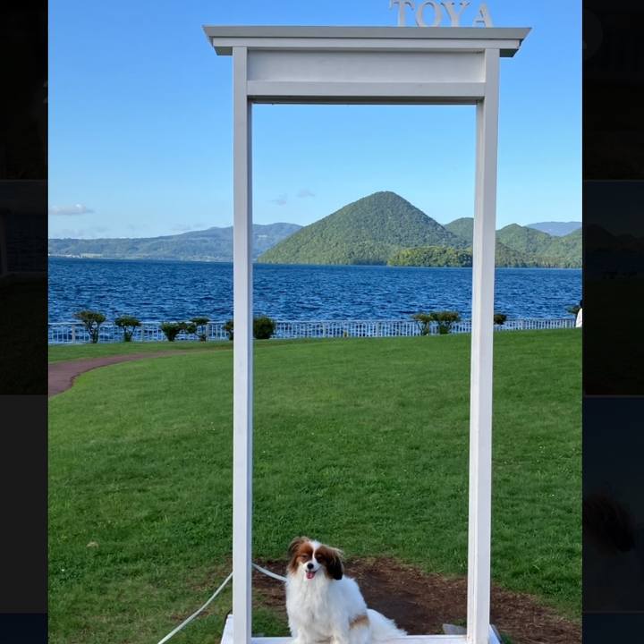 A5874df8 566e 4820 b72d aa33ee19ee3b 1757834407714