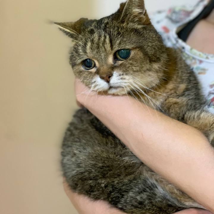 A5879684 e045 4205 b2c6 c72d8e3a9385 1558952522886