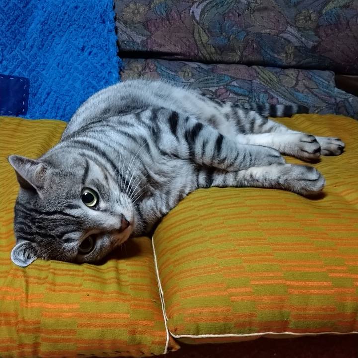 A587b056 265c 43d2 8833 9d4dc8aa6768 1670000996355