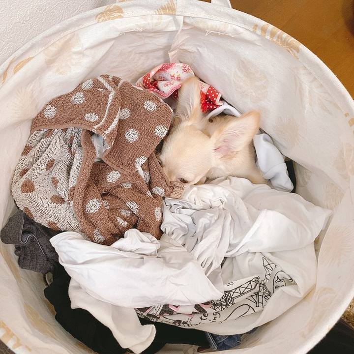 A587c5f2 eff1 45df 8b79 63eb8eeb3311 1595464843612