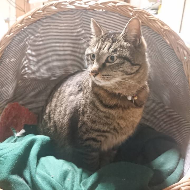 A587ea83 e7c4 4cbc ad58 726b2fbf4f39 1647351769290