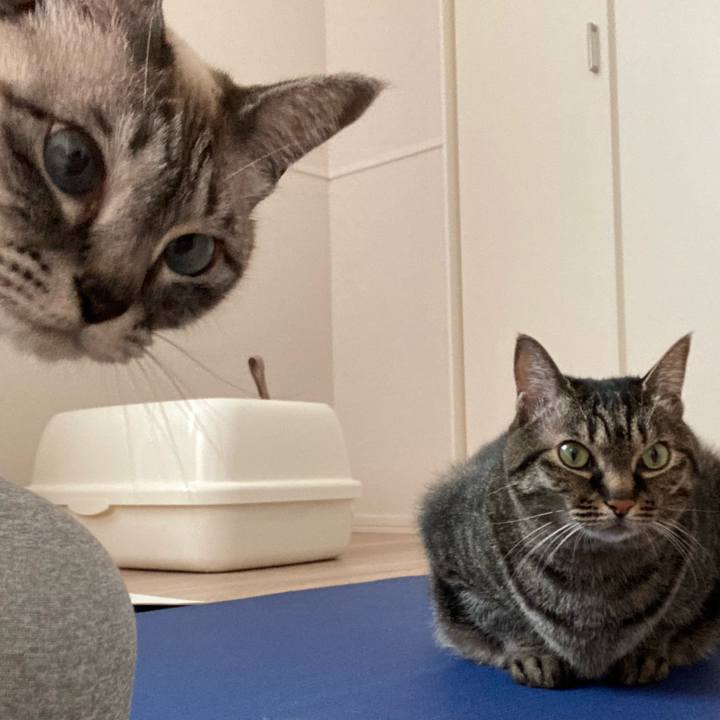 A587efb6 acc3 405a 82d8 4b2f058e55ba 1648349679231