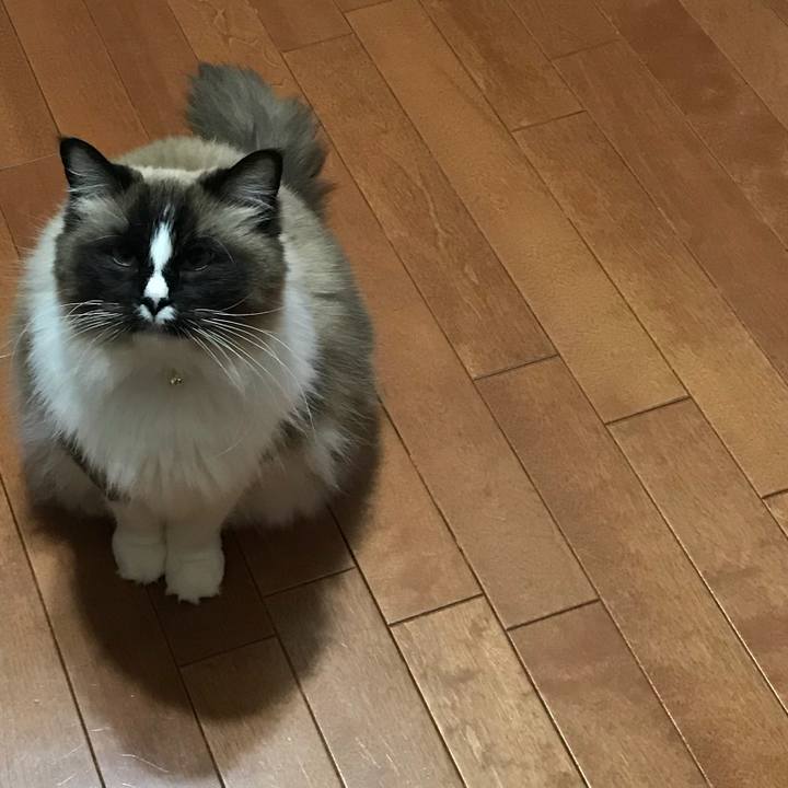 A587fe1e 0839 4633 ae50 17a80c9b03d4 1519808861908