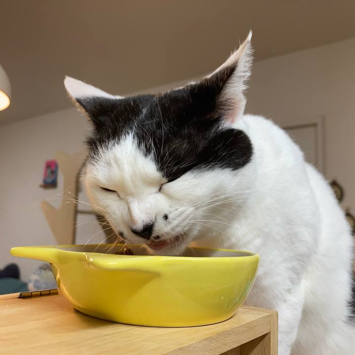 A5882d33 7111 4d74 82cf 7cee5624b75c 1770670874634