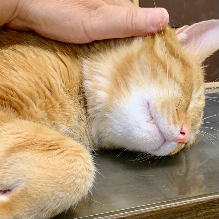 A5884c1c 4042 4397 9606 eeb52bb49ec3 1634250240285