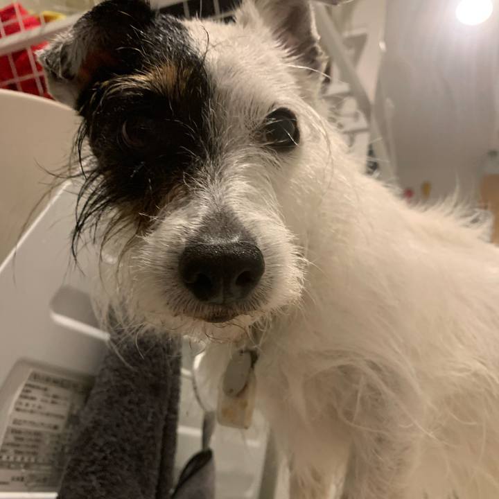 A5884ea1 958b 457b ac6b aa3a129c2484 1714553376759