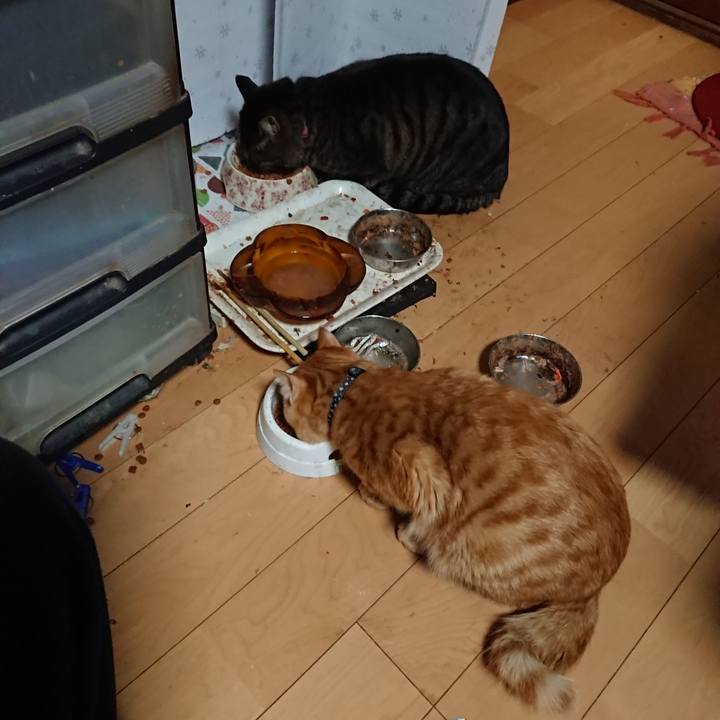 A588a958 83b1 4708 96c2 1da38e63539f 1643885788608