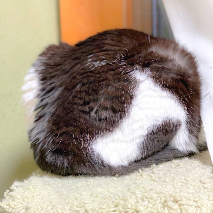 A588b9d0 f0e9 4119 9faa b960d7cb1e32 1560130348717